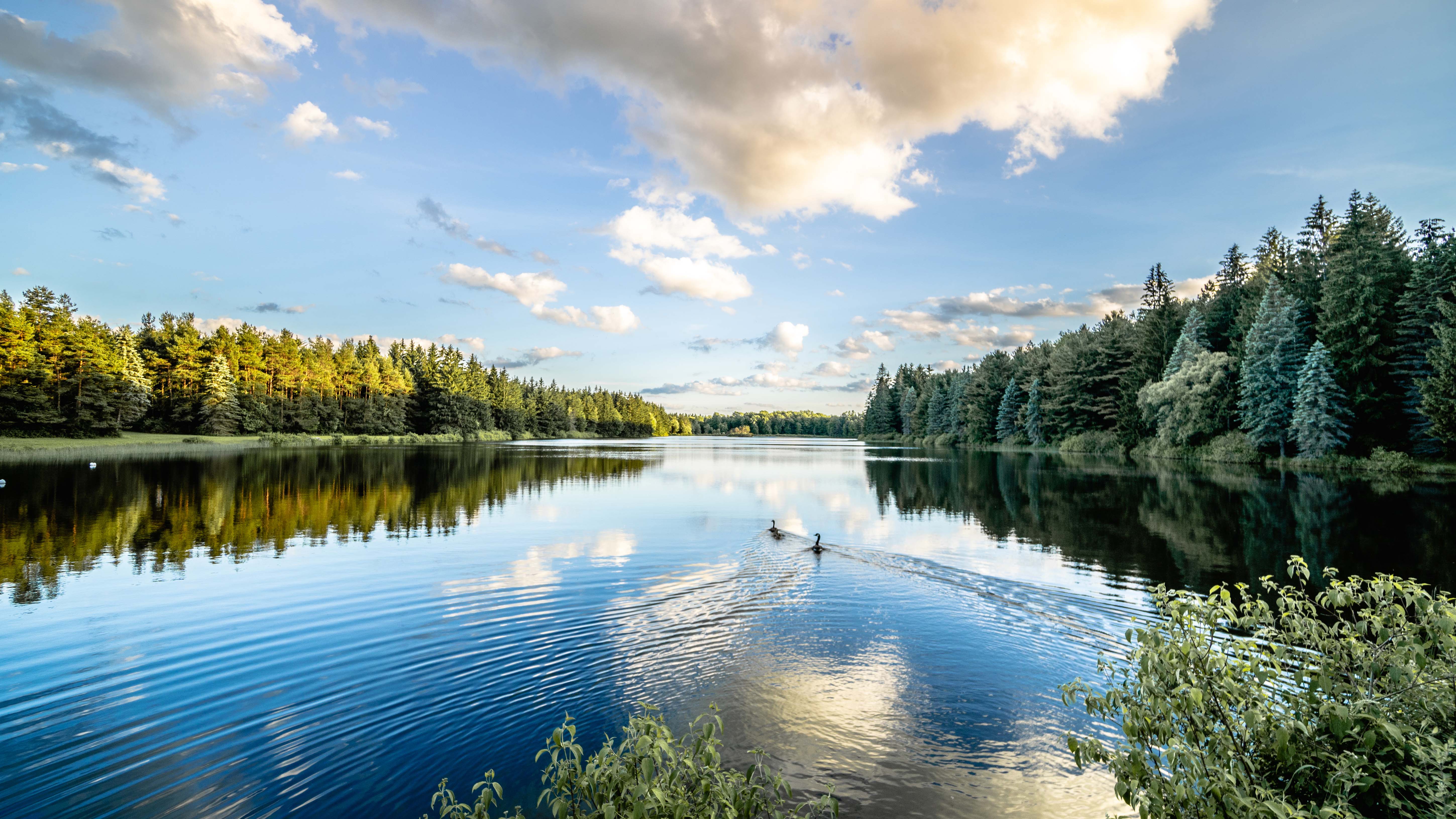 Foster Lake